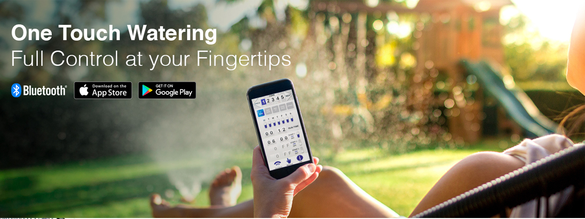 Homepage Slider